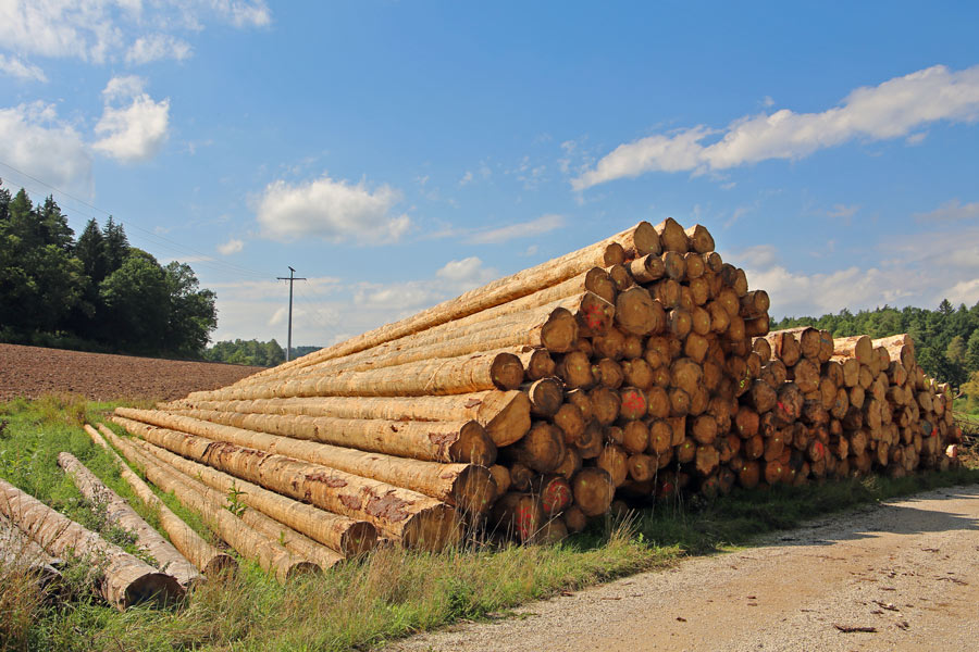Wir verarbeiten Ihr eigenes Holz in Lohnarbeit.
